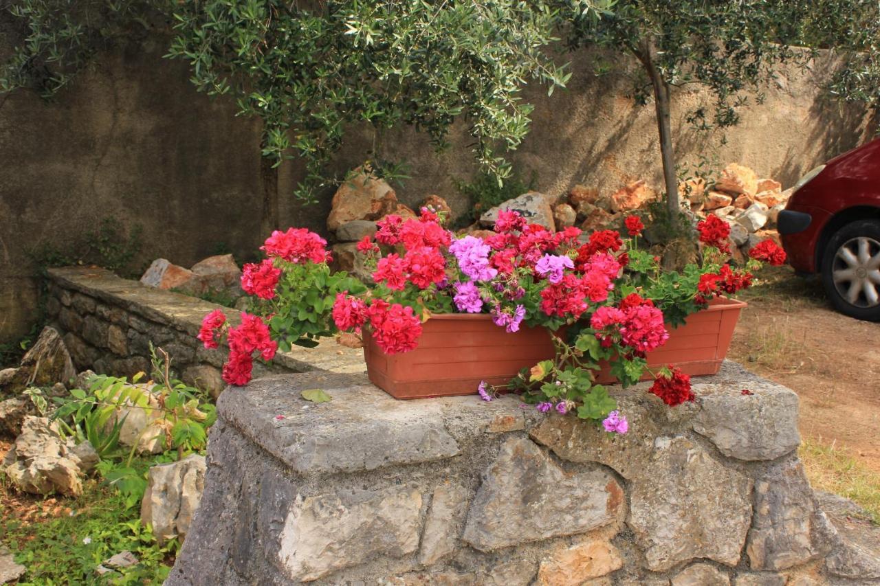 Apartments With A Parking Space Veli Losinj, Losinj - 8029 Luaran gambar